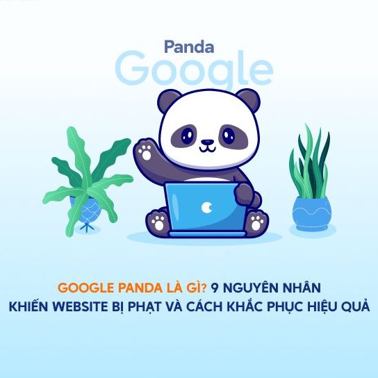 Thuật Toán Google: Những Cập Nhật Quan Trọng 3 Thuat-Toan-Google-Panda